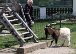 Jawa175Ausfahrt2016 (10)